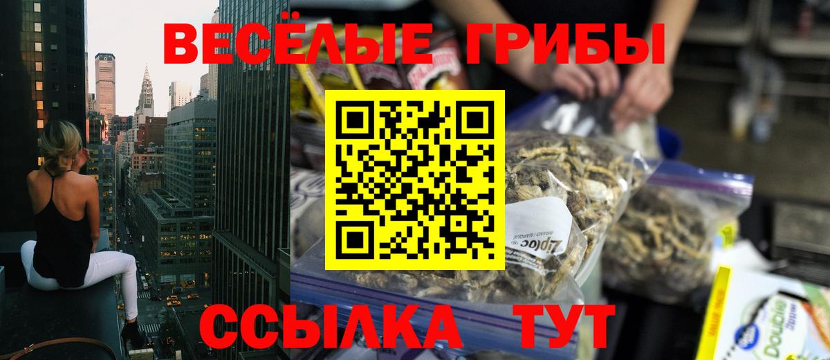 Псилоцибиновые грибы мицелий  Вход с VPN  Кольчугино 