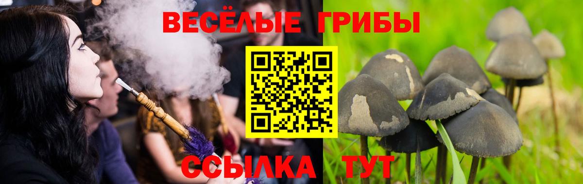 Галлюциногенные грибы мухоморы Кольчугино